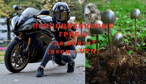 хмурый Лиски