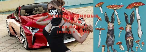 дживик Липки