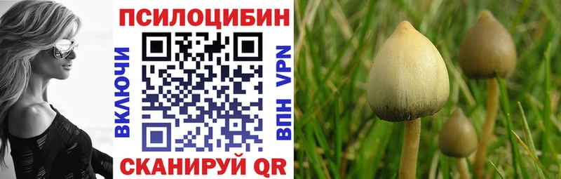 Псилоцибиновые грибы MAGIC MUSHROOMS Павловская