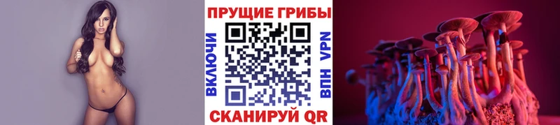 Купить закладки  Павловская  Псилоцибиновые грибы мицелий 