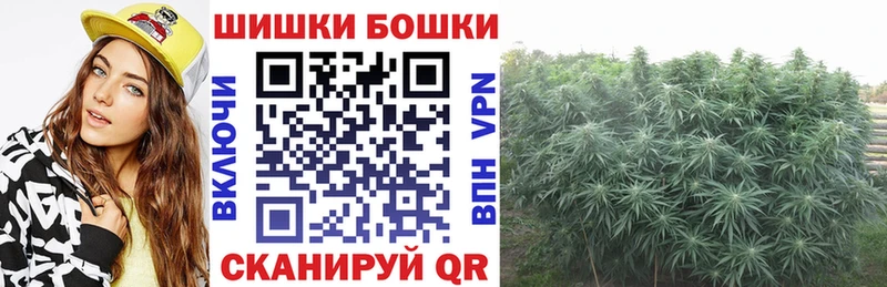 Каннабис план  Купить где  Павловская 